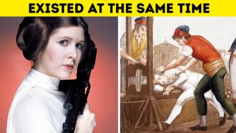 Rare Facts That Will Alter Your Perception Of Time