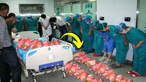 This Pregnancy Broke All Records Which Even Doctors Did Not Believe Changed Medical Hist